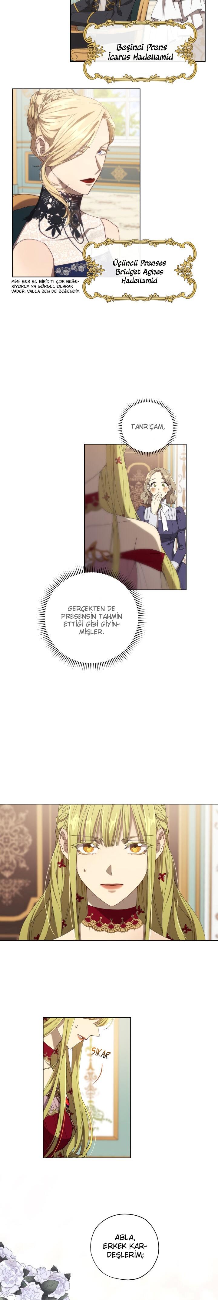 13-cm2xdfr0s0001tt82570od8ls