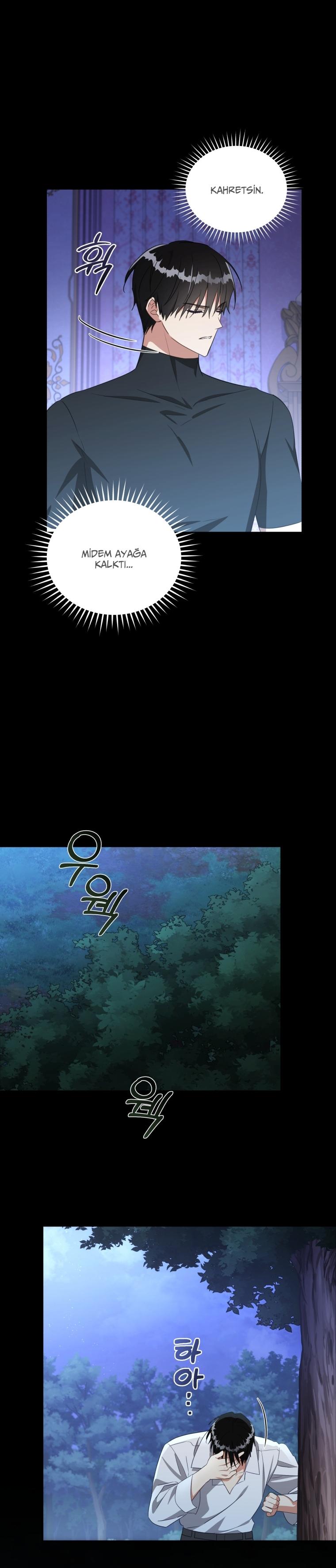 14-cm2xdfr0s0001tt82570od8ls