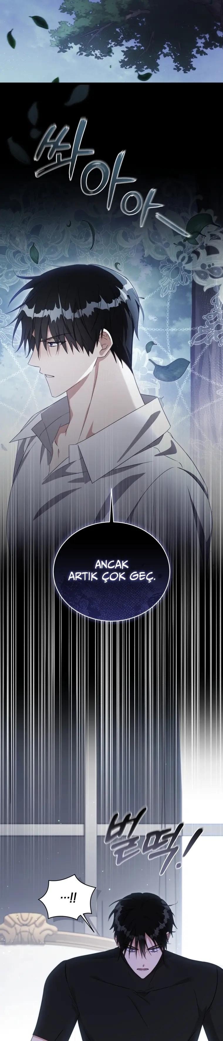 3-cm2xdfr0s0001tt82570od8ls