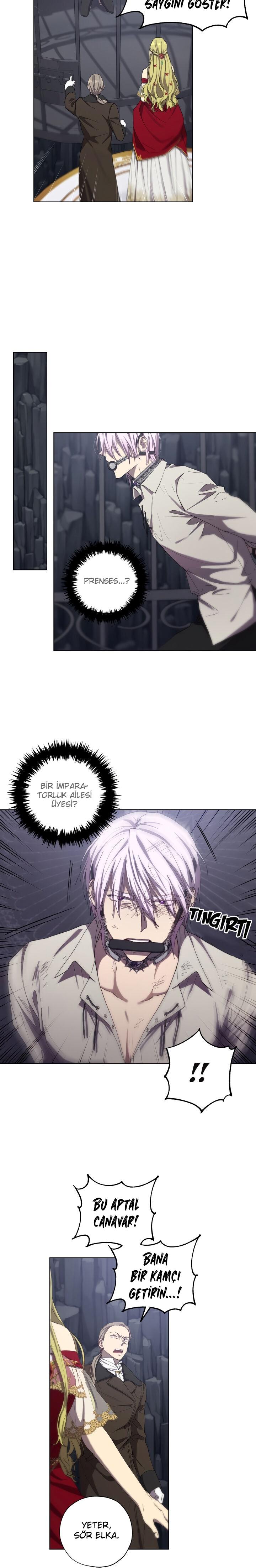 22-cm2xdfr0s0001tt82570od8ls
