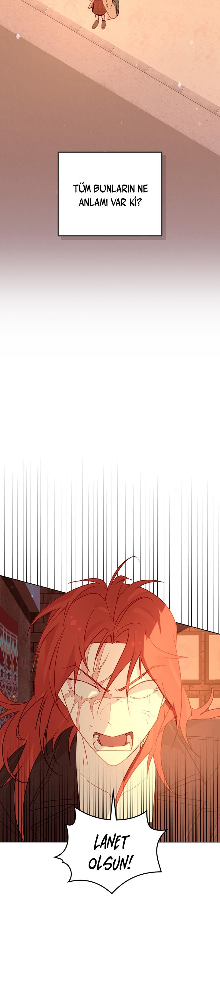 17-cm2xdfr0s0001tt82570od8ls