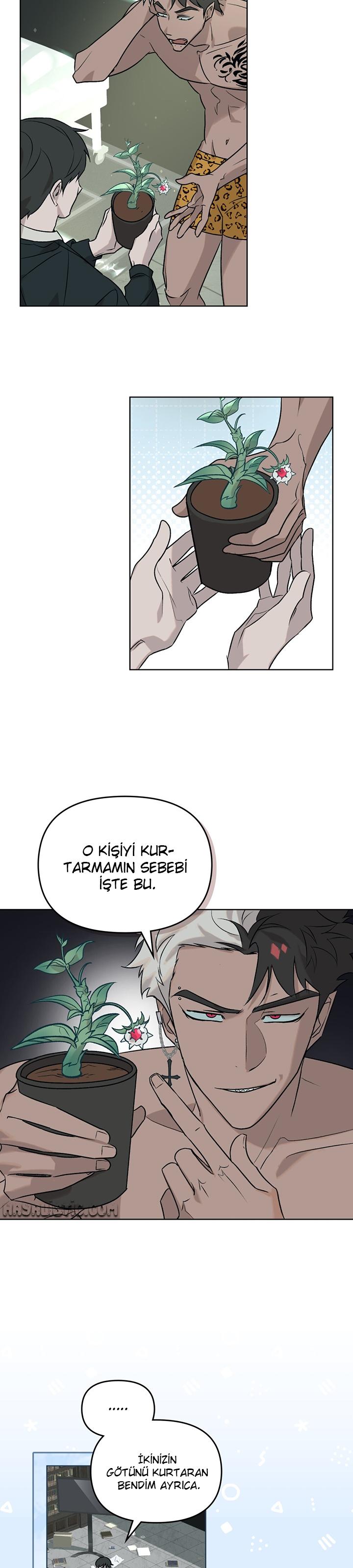 11-cm2xdfr0s0001tt82570od8ls