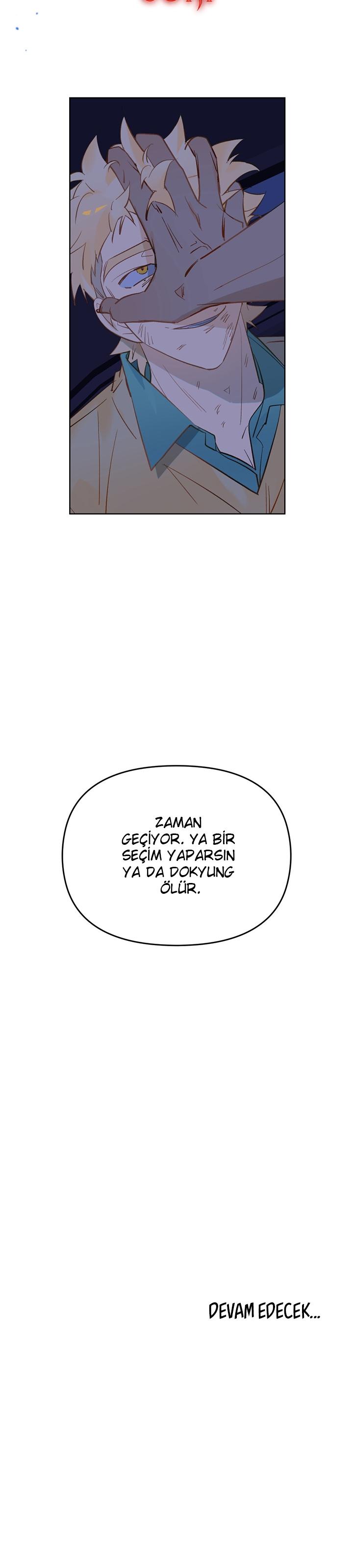 26-cm2xdfr0s0001tt82570od8ls