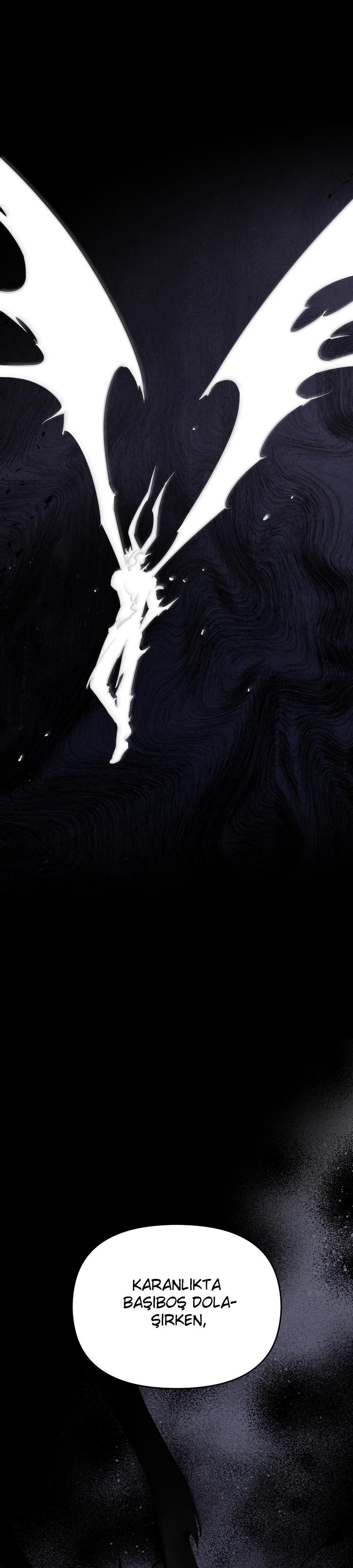 33-cm2xdfr0s0001tt82570od8ls