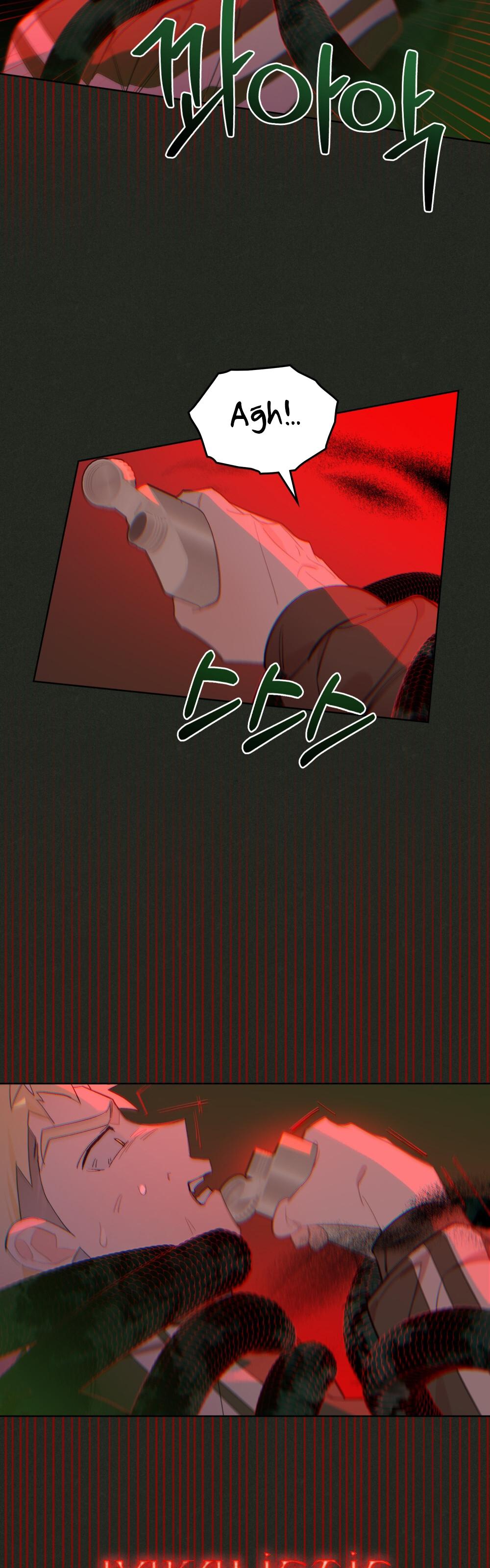 13-cm2xdfr0s0001tt82570od8ls