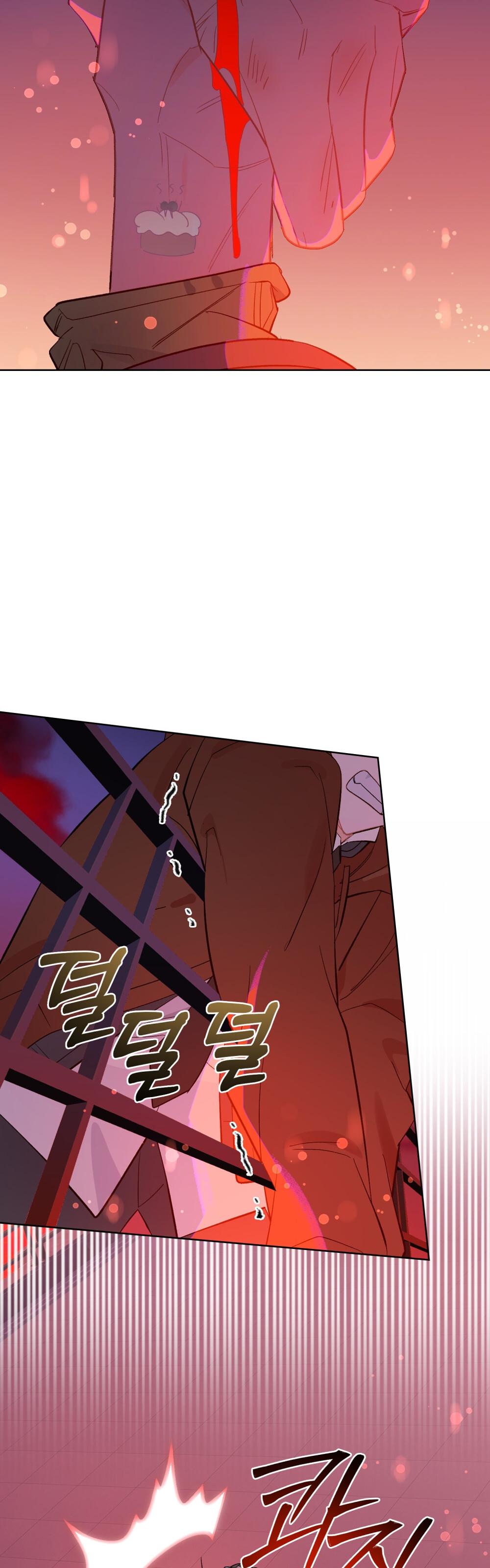 16-cm2xdfr0s0001tt82570od8ls