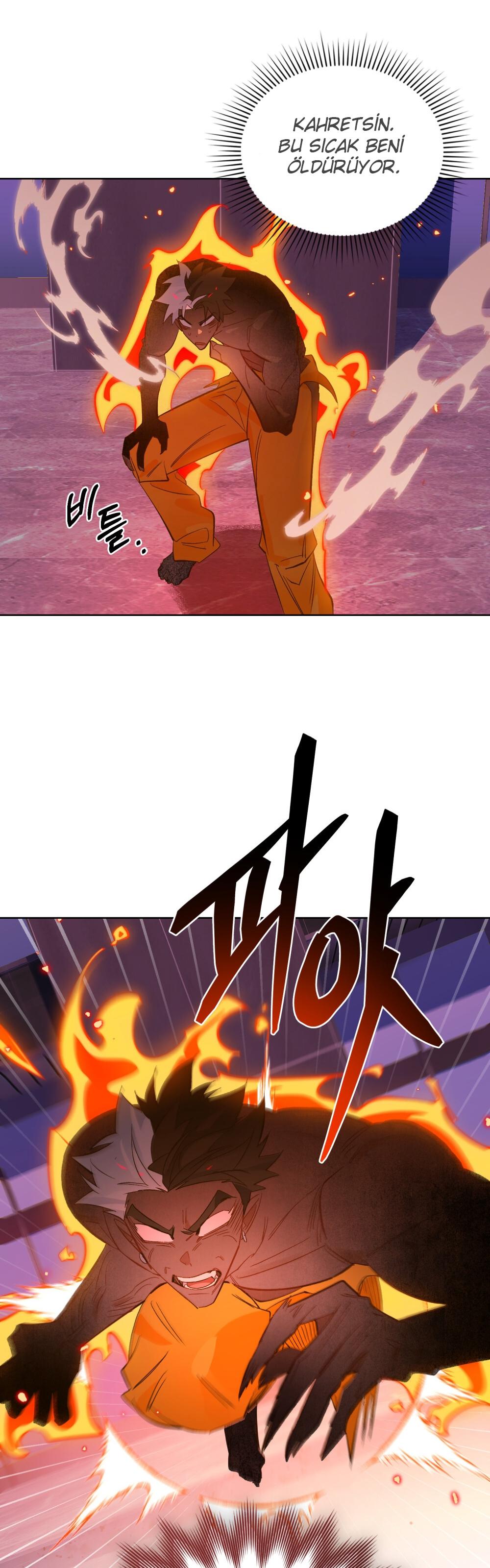 30-cm2xdfr0s0001tt82570od8ls