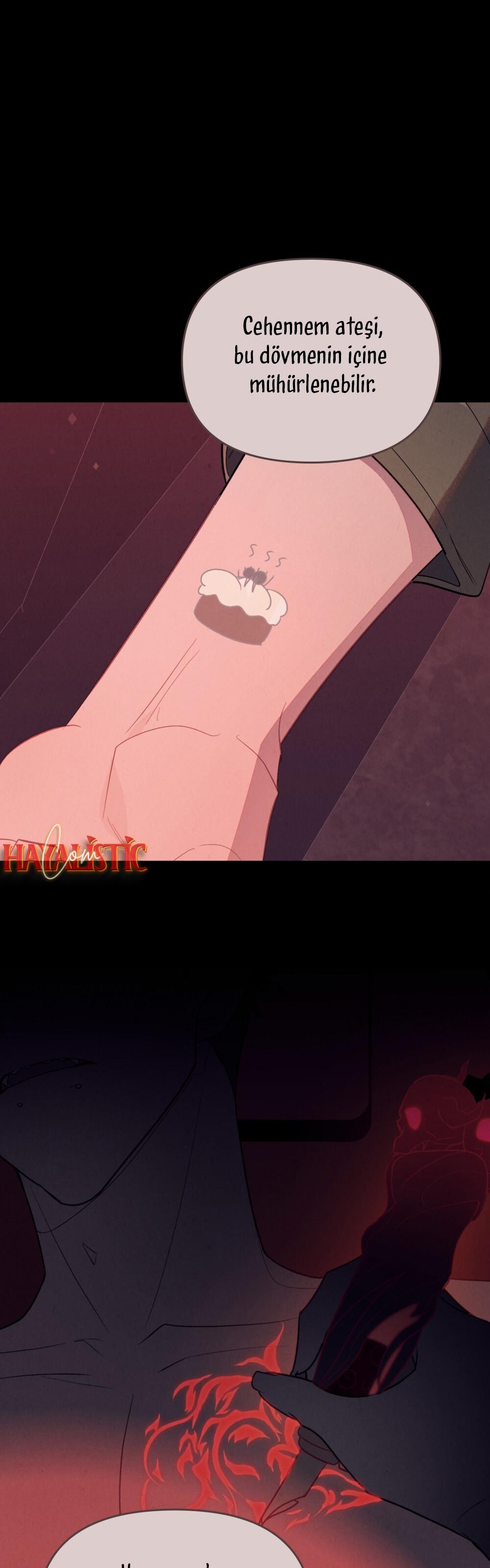 2-cm2xdfr0s0001tt82570od8ls