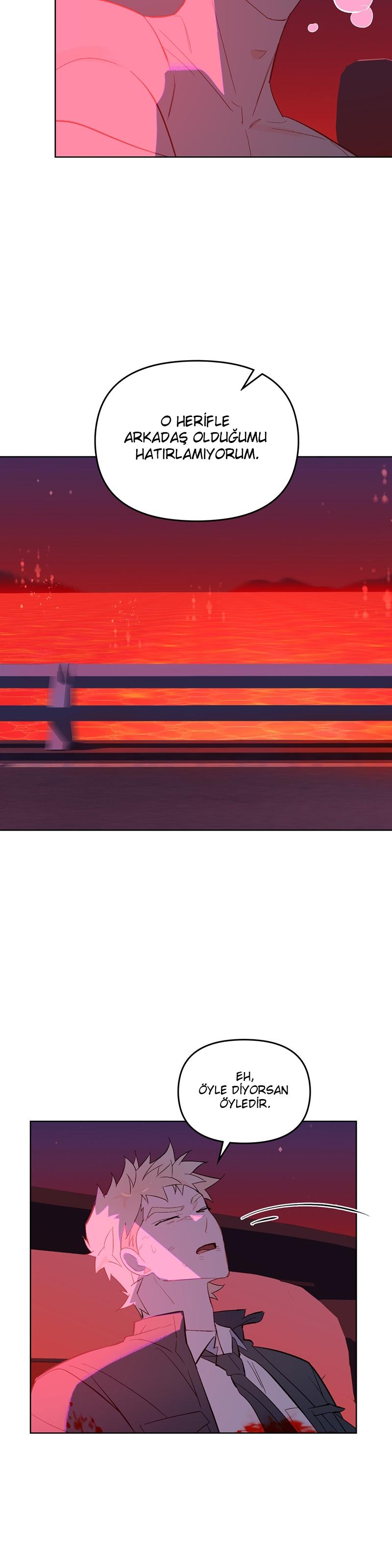 24-cmc1vvo430025phxcd4xhnki2
