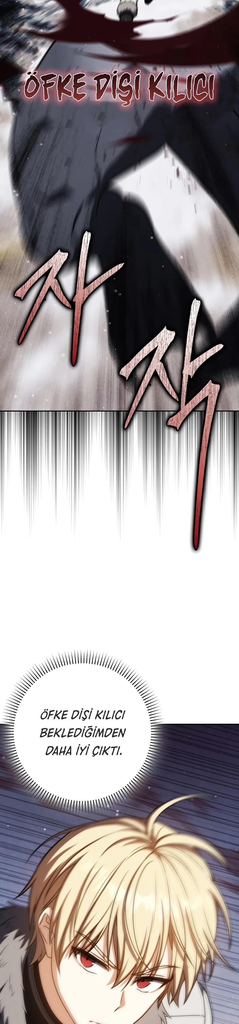 13-cm2xdfr0s0001tt82570od8ls