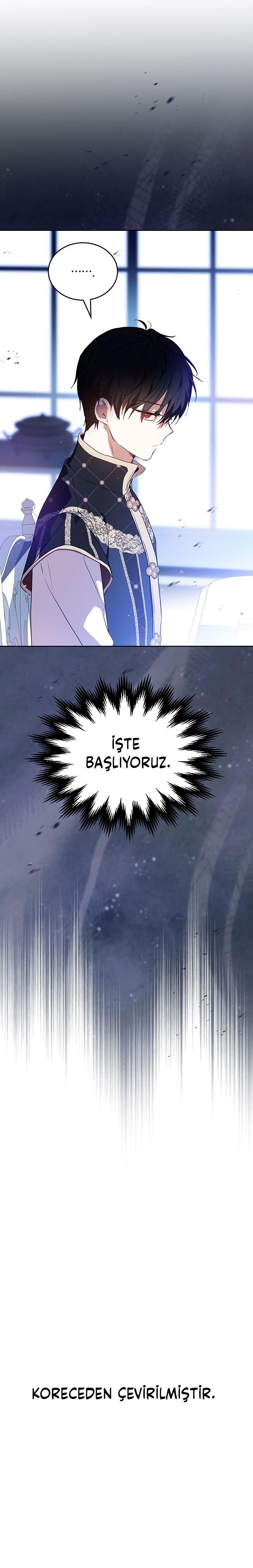8-cmo49a8fe0uuyucwa9zyxlsnd