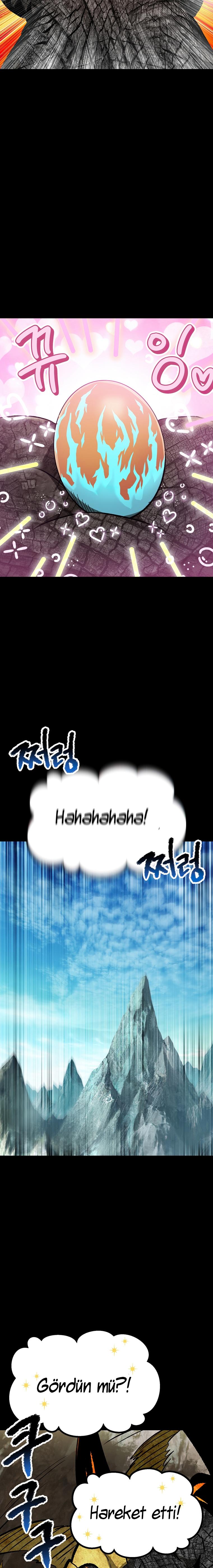 24-cm2xdfr0s0001tt82570od8ls