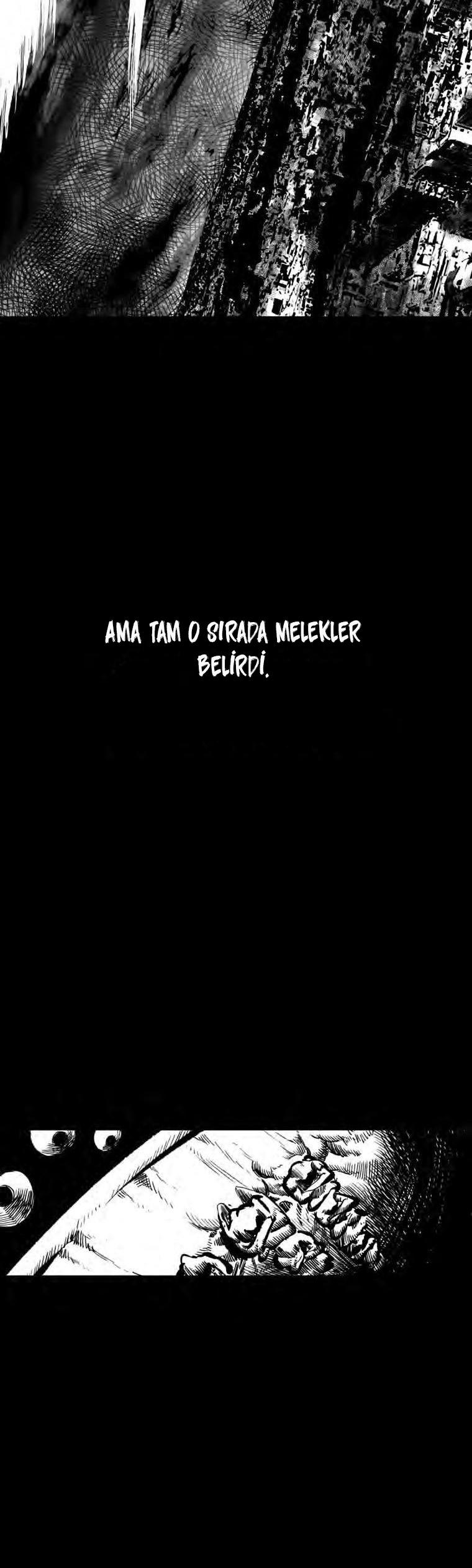 11-cm2xdfr0s0001tt82570od8ls