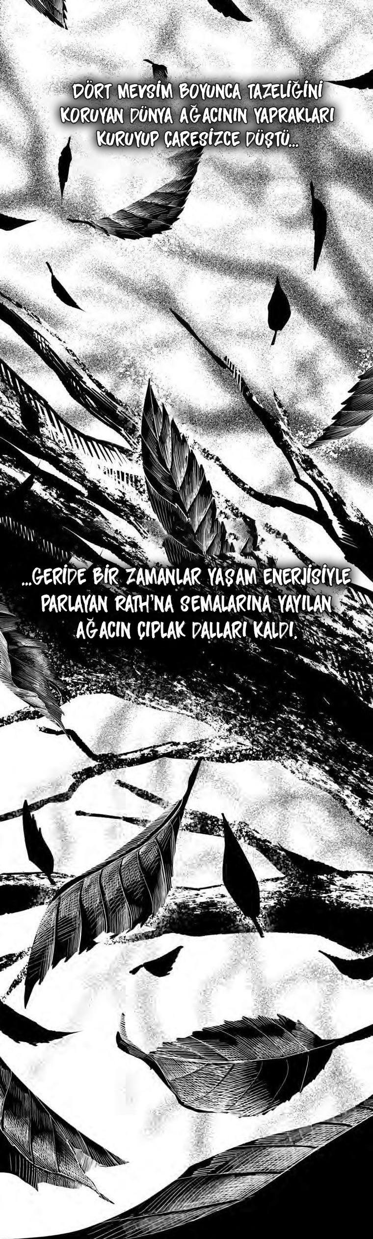 3-cm2xdfr0s0001tt82570od8ls