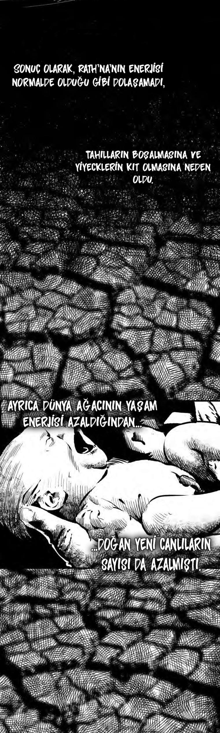 4-cm2xdfr0s0001tt82570od8ls