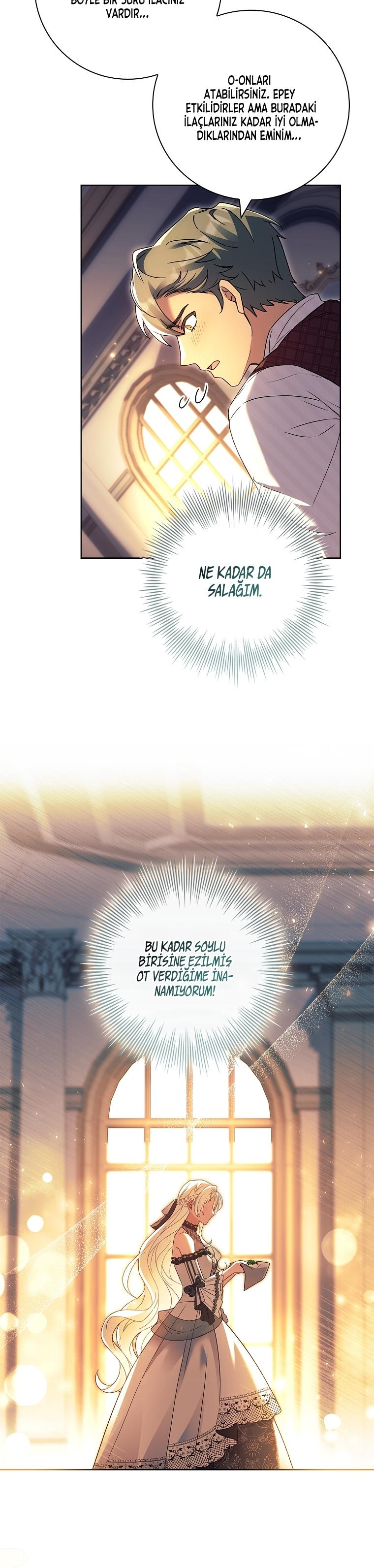 8-cmc1vvo430025phxcd4xhnki2