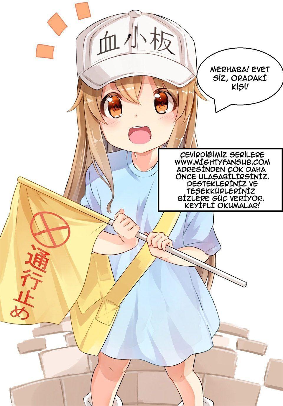 8-cm2stxsu300017c0k4w8rmhwl