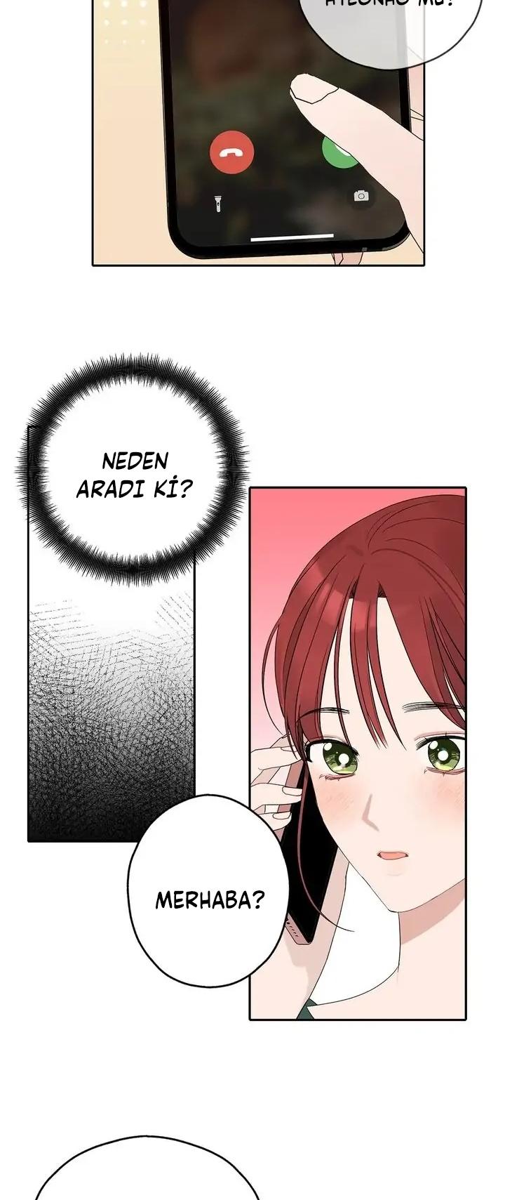 12-cm2xdfr0s0001tt82570od8ls