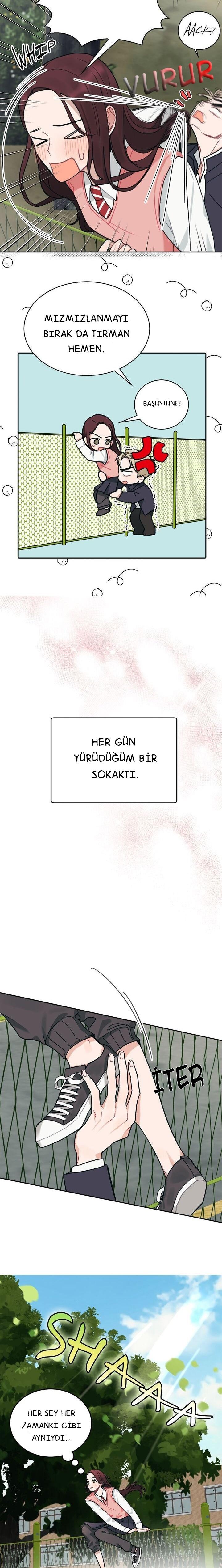 4-cm2xdfr0s0001tt82570od8ls