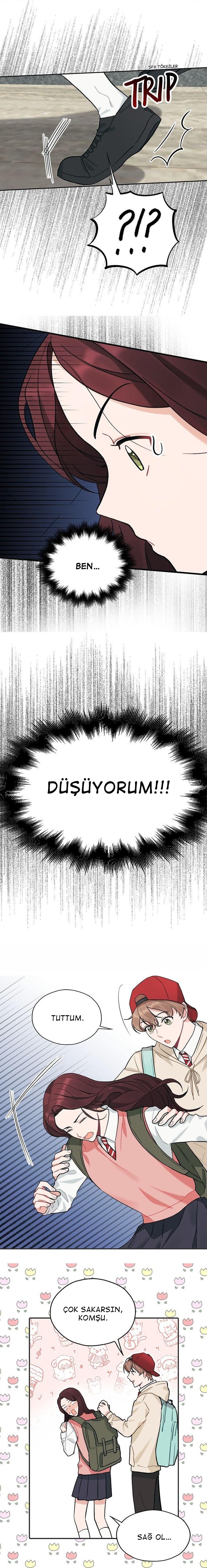 4-cm2xdfr0s0001tt82570od8ls
