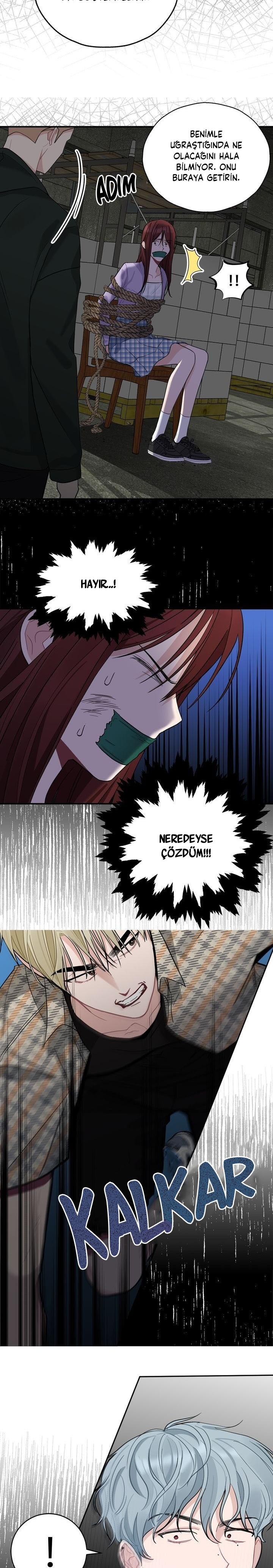 13-cm2xdfr0s0001tt82570od8ls