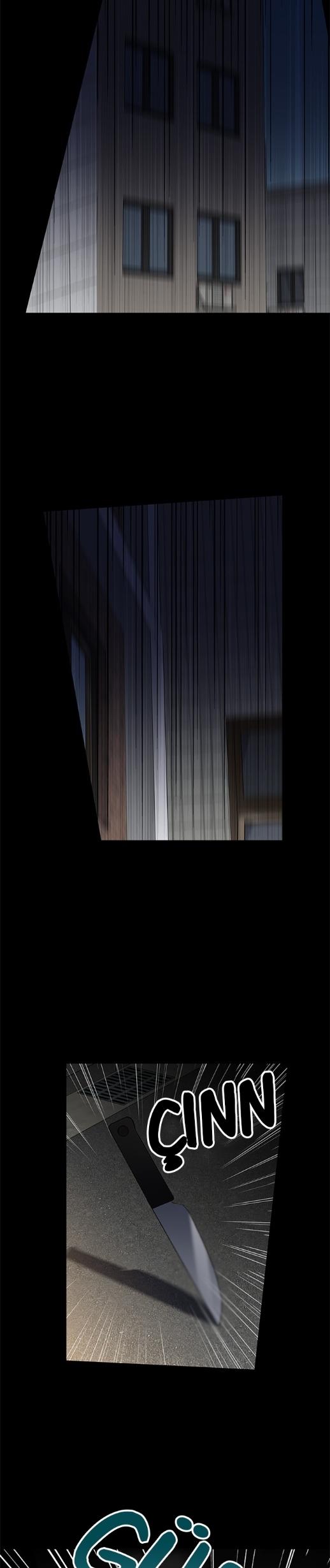 20-cmc1vvo430025phxcd4xhnki2