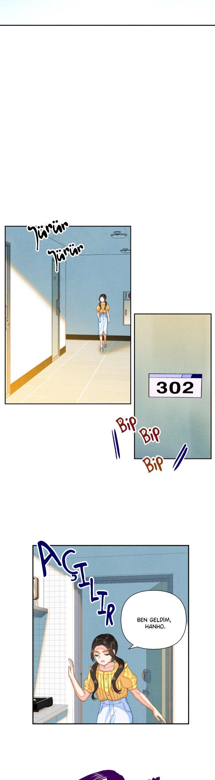 47-cmc1vvo430025phxcd4xhnki2