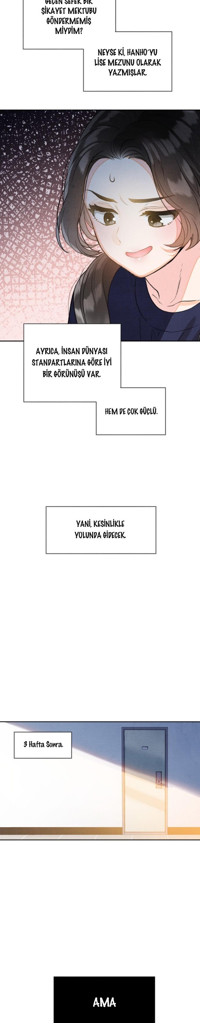 20-cmc1vvo430025phxcd4xhnki2