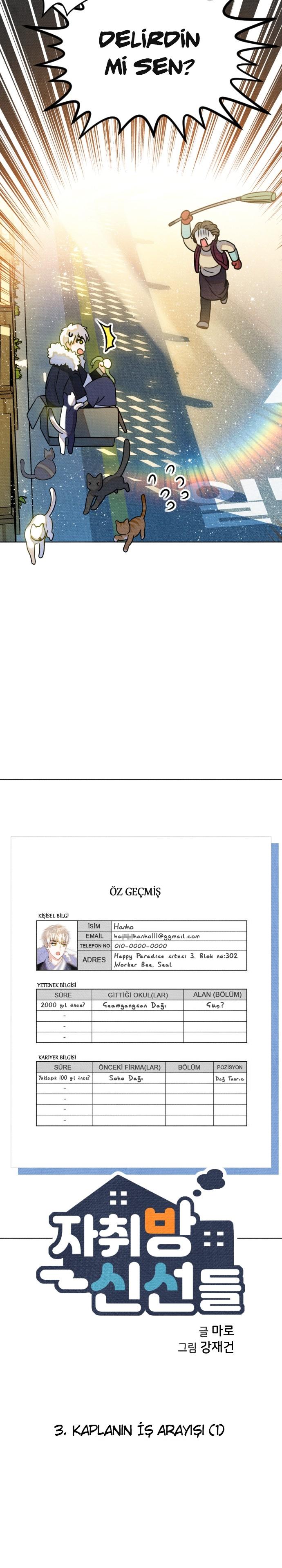 4-cmc1vvo430025phxcd4xhnki2