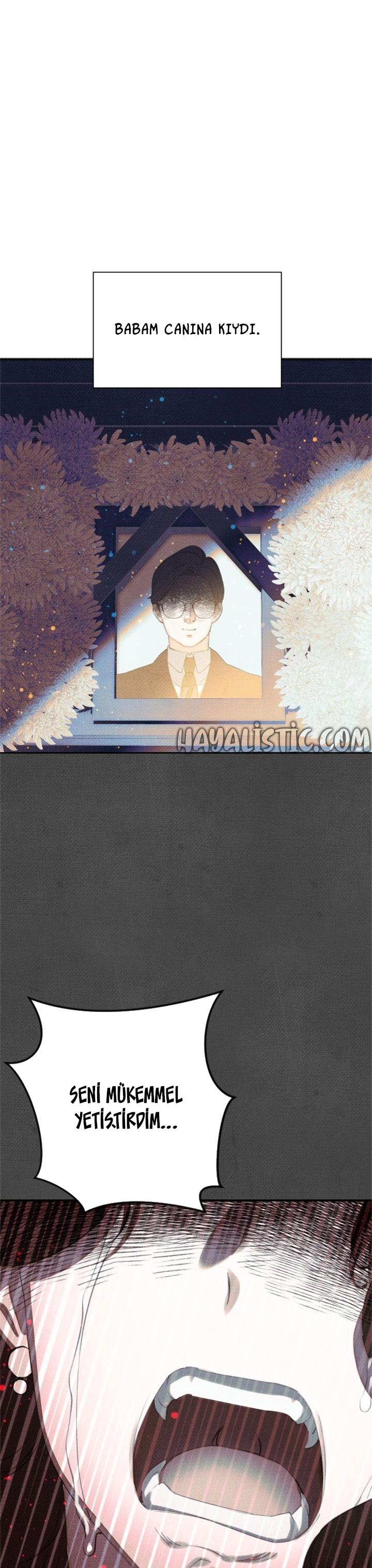 4-cmc1vvo430025phxcd4xhnki2