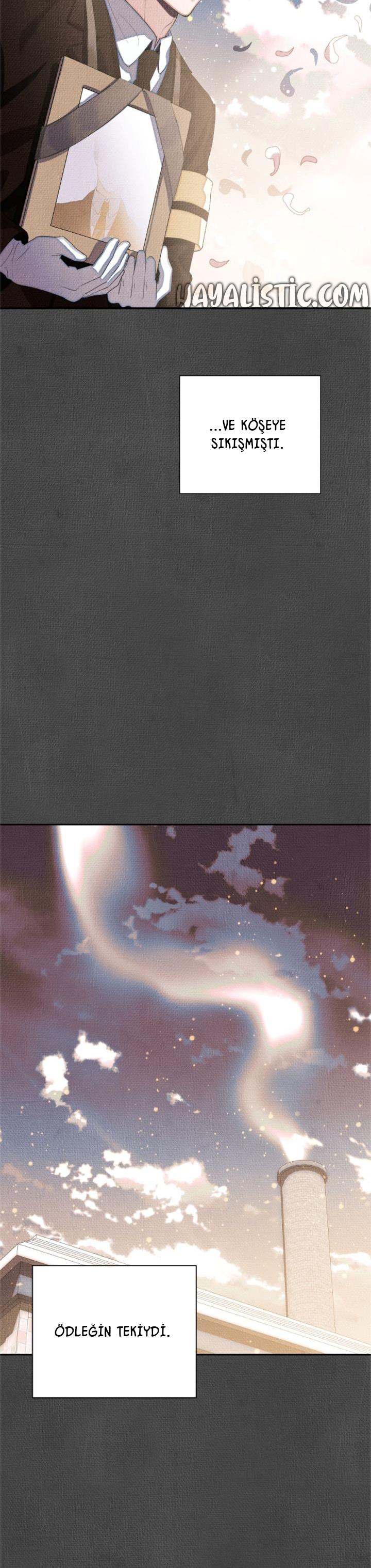 7-cmc1vvo430025phxcd4xhnki2