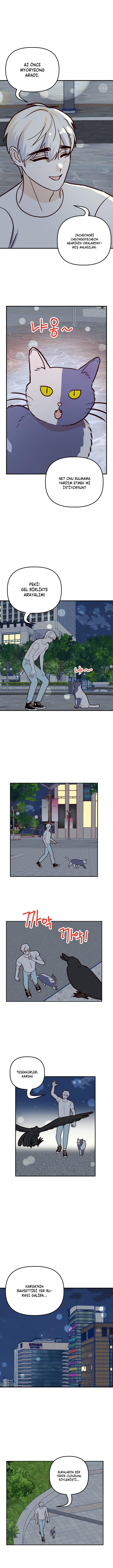 9-cmc1vvo430025phxcd4xhnki2