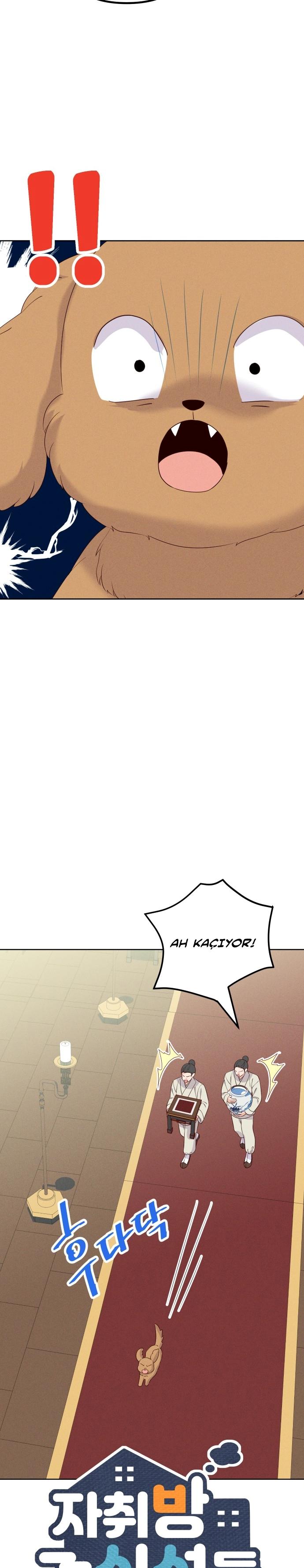 4-cmc1vvo430025phxcd4xhnki2