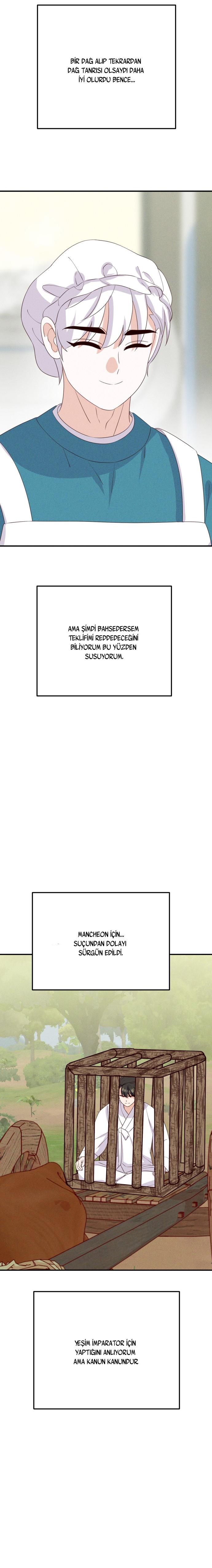 5-cmc1vvo430025phxcd4xhnki2