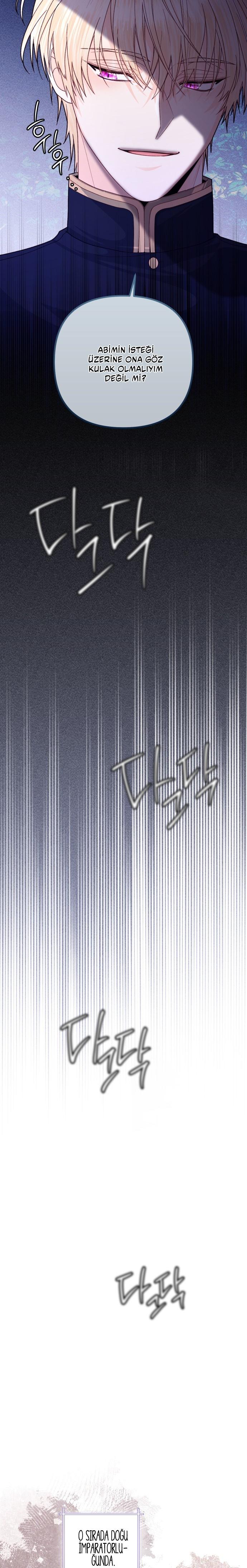 24-cmc1vvo430025phxcd4xhnki2