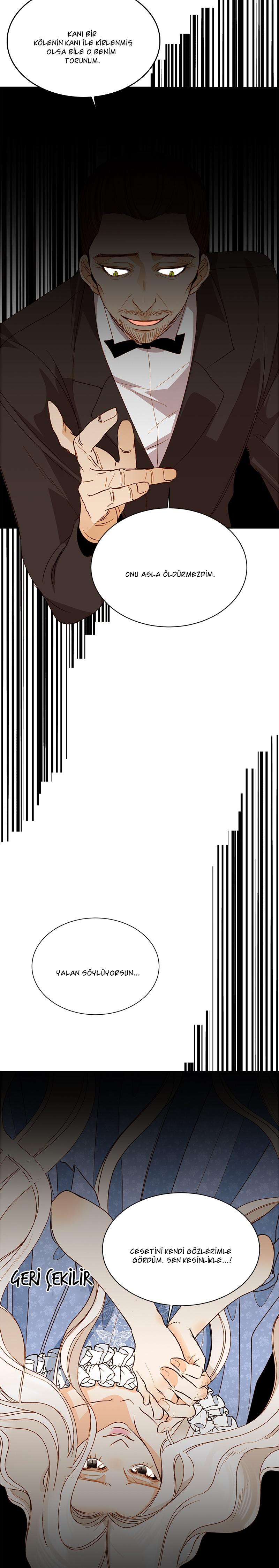 3-cmc1vvo430025phxcd4xhnki2