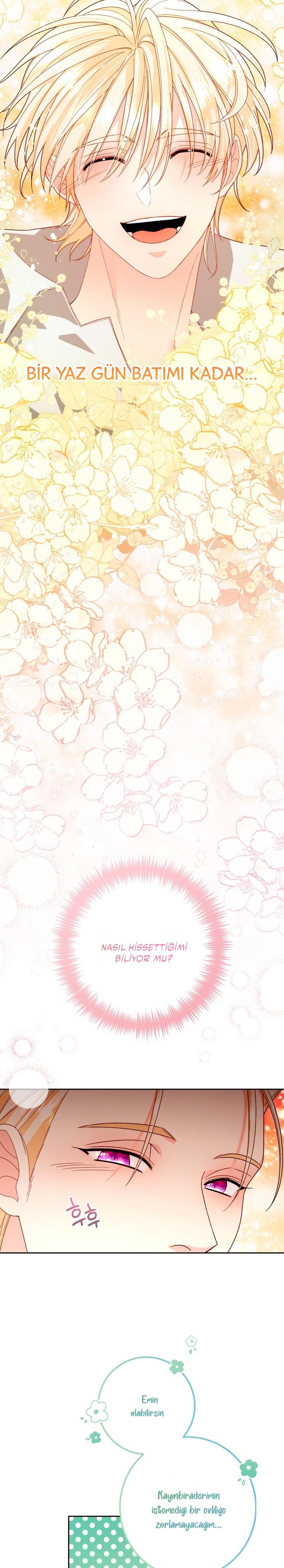 8-cmc1vvo430025phxcd4xhnki2