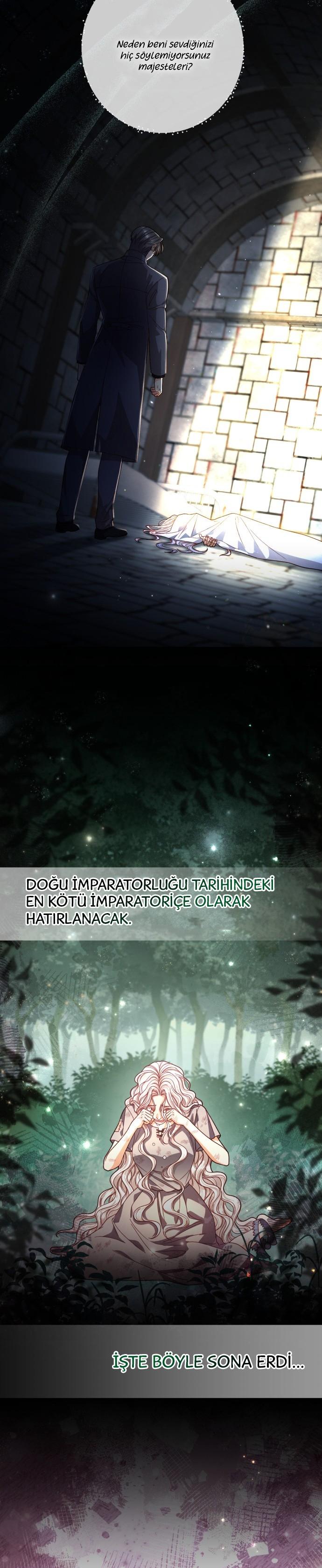 5-cmc1vvo430025phxcd4xhnki2
