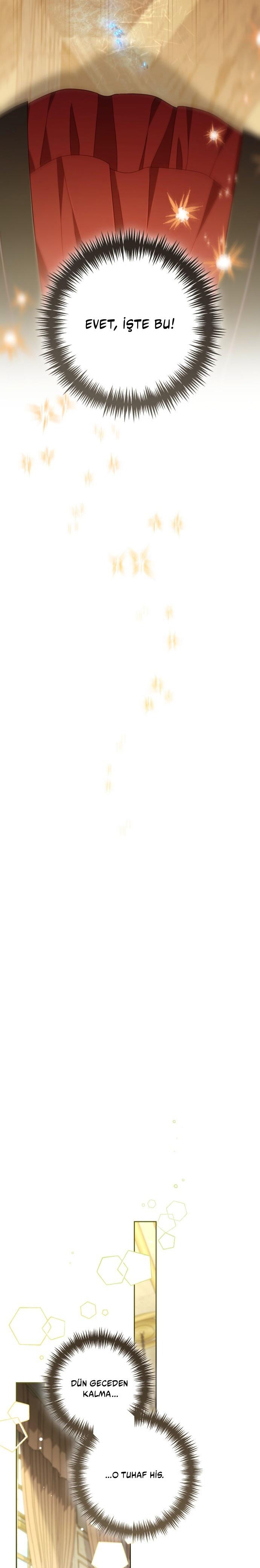 20-cmc1vvo430025phxcd4xhnki2