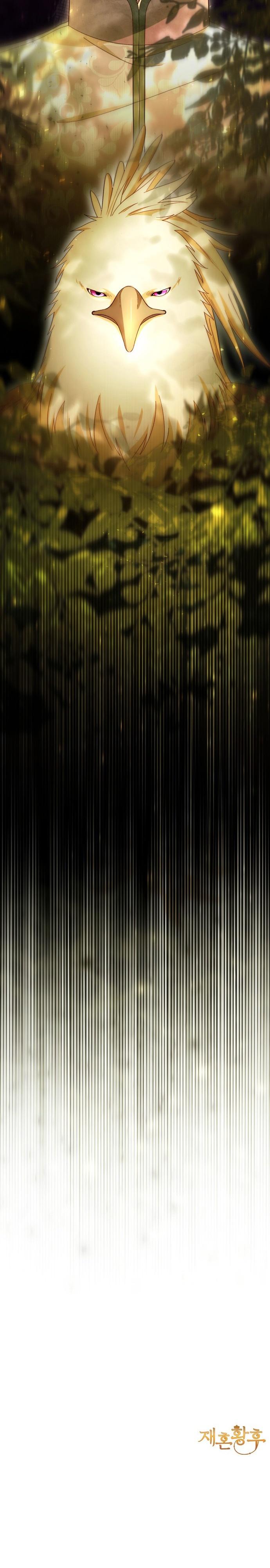 31-cmc1vvo430025phxcd4xhnki2