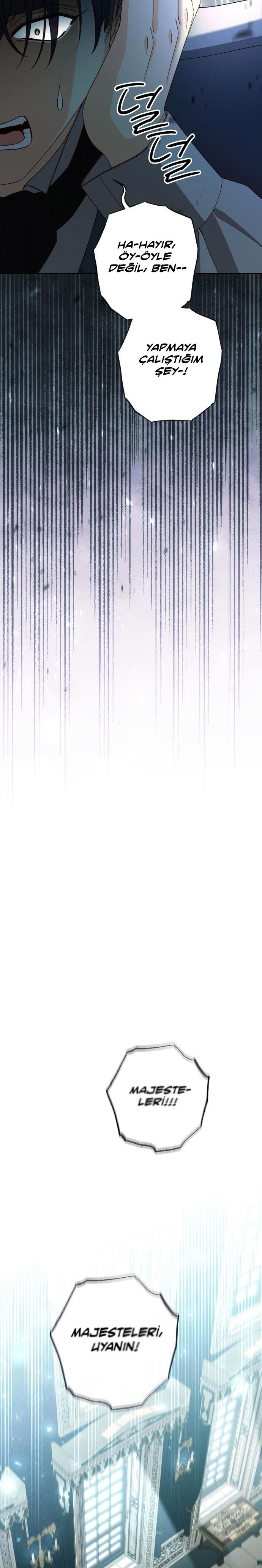 37-cmc1vvo430025phxcd4xhnki2