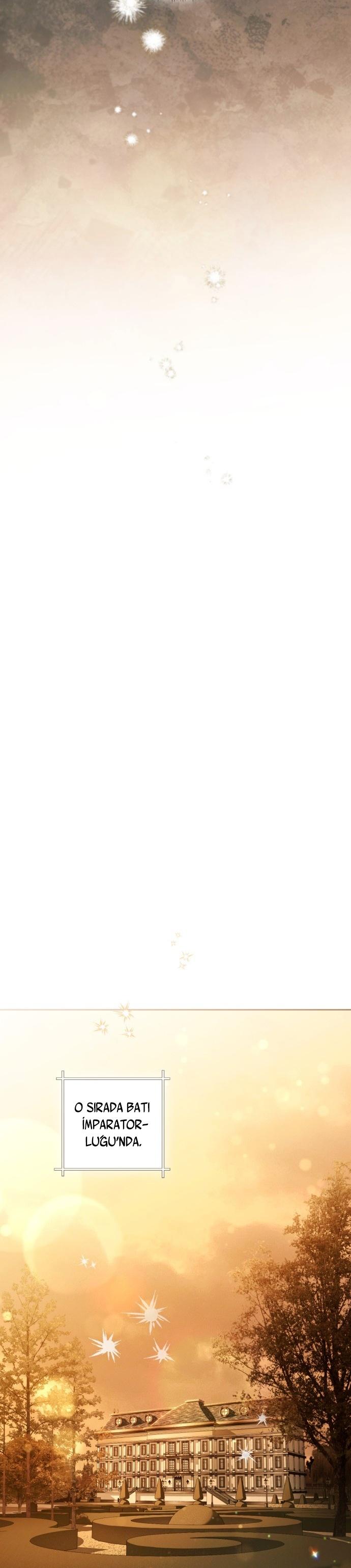 25-cmc1vvo430025phxcd4xhnki2