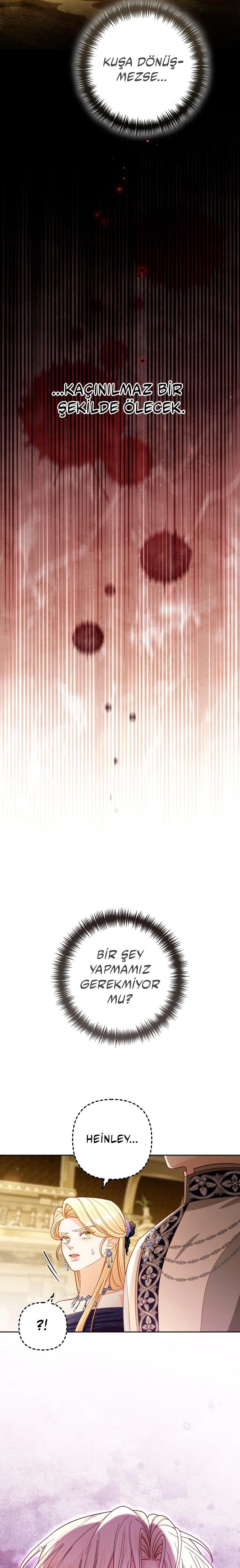 20-cmc1vvo430025phxcd4xhnki2