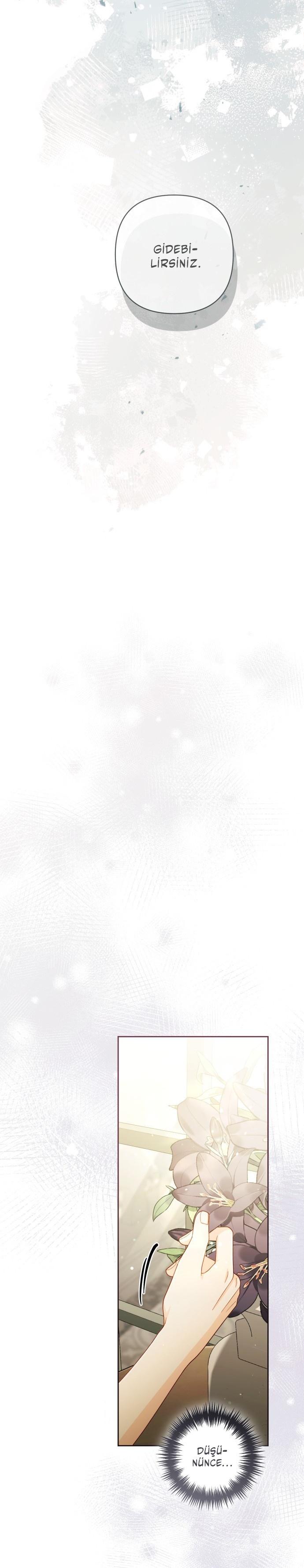 31-cmc1vvo430025phxcd4xhnki2