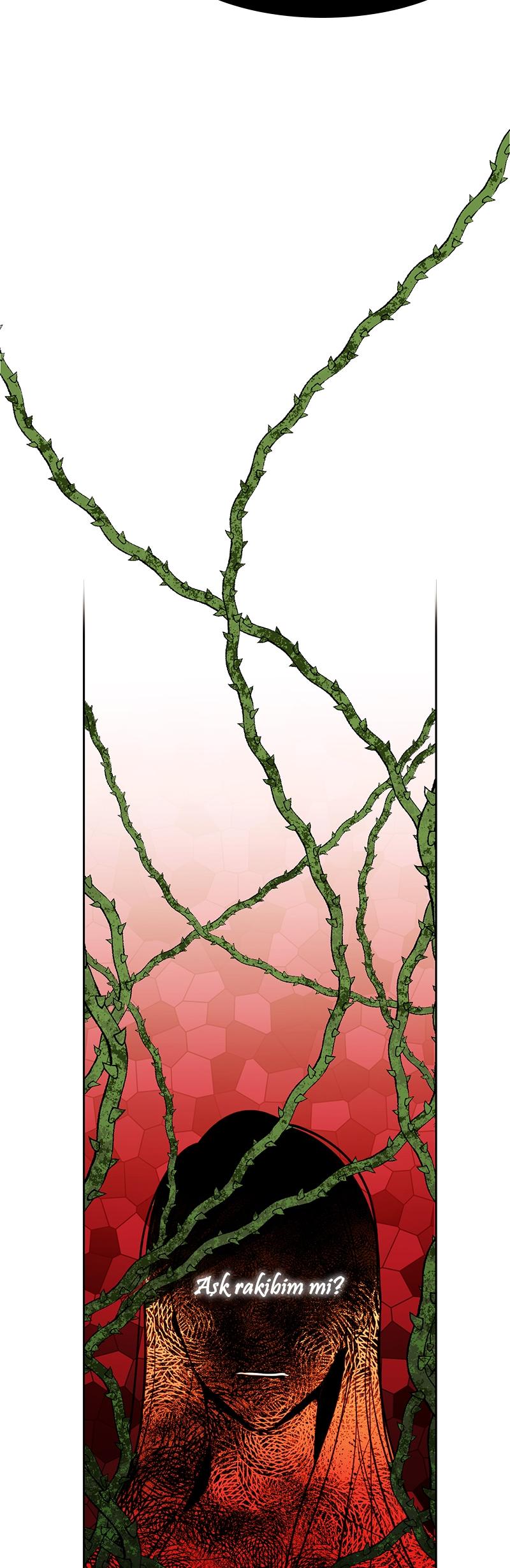 3-cmc1vvo430025phxcd4xhnki2