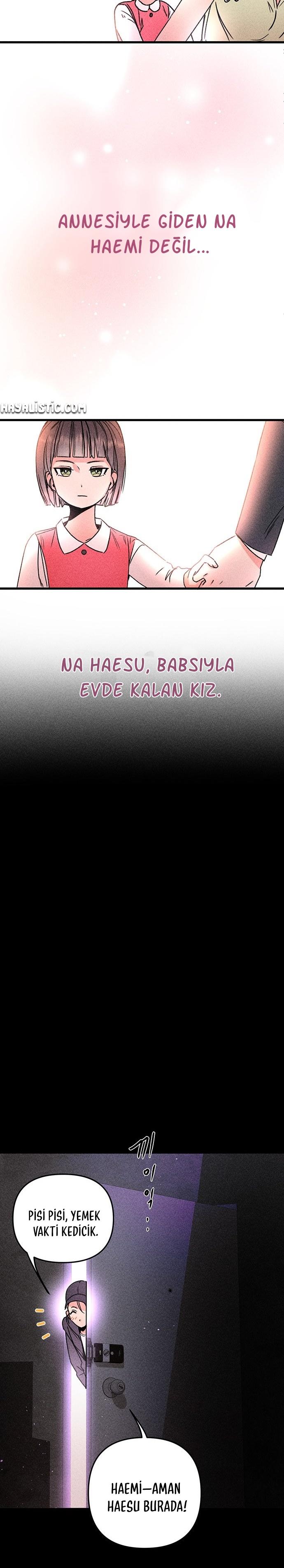 44-cmc1vvo430025phxcd4xhnki2