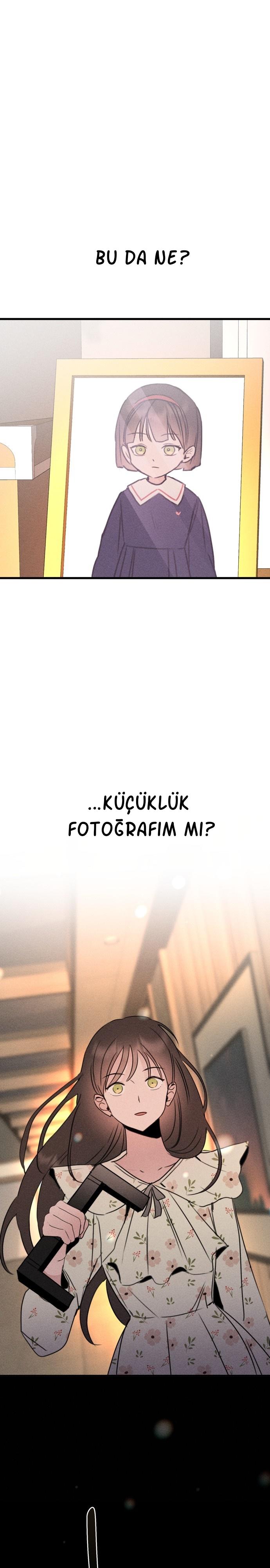 2-cmc1vvo430025phxcd4xhnki2