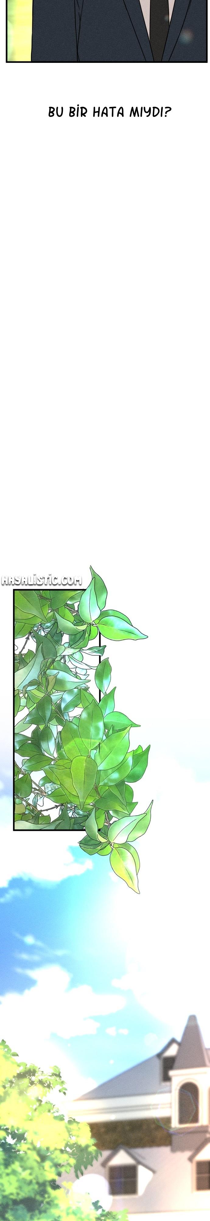 13-cmc1vvo430025phxcd4xhnki2