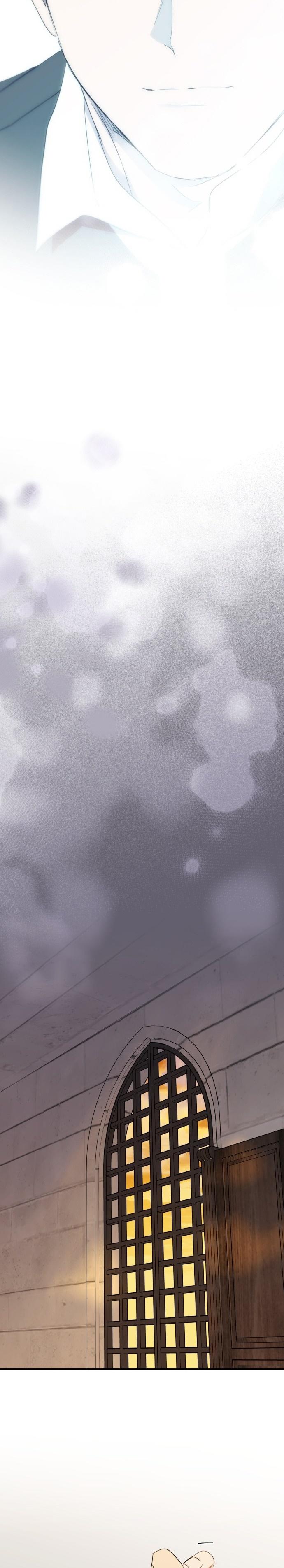 27-cm2xdfr0s0001tt82570od8ls