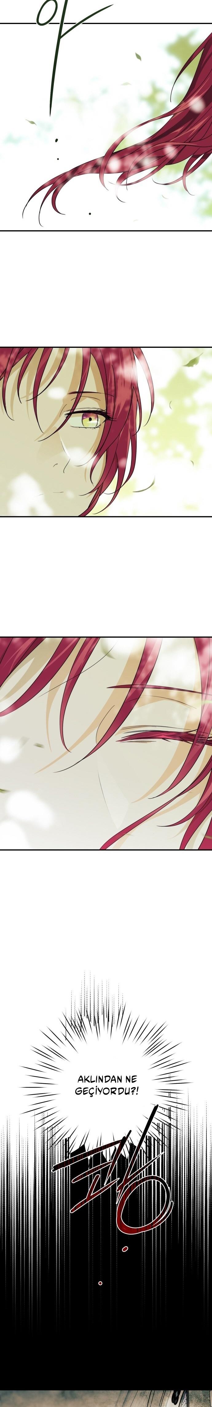 3-cm2xdfr0s0001tt82570od8ls